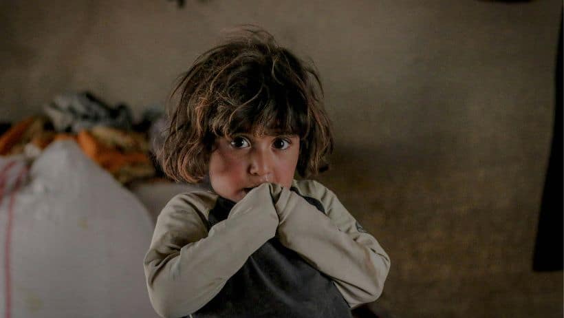 Respuesta de congelación miedo