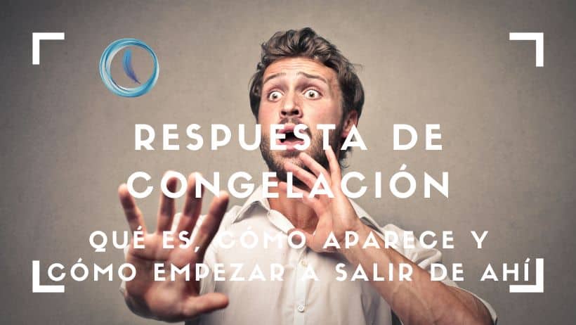 Respuesta de congelación